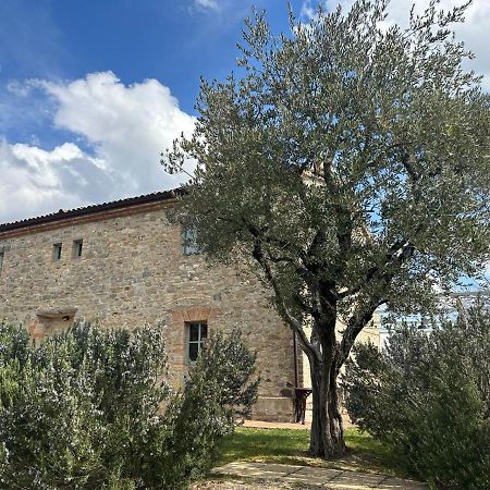 Bed and Breakfast Borgo Cardaneto Монтоне Экстерьер фото