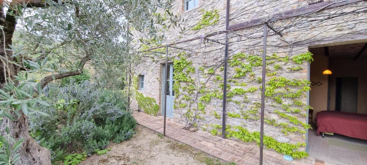 Bed and Breakfast Borgo Cardaneto Монтоне Экстерьер фото