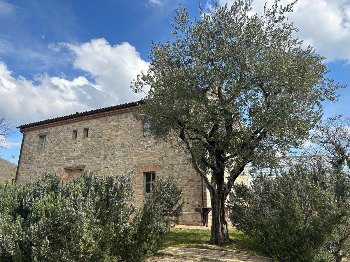 Bed and Breakfast Borgo Cardaneto Монтоне Экстерьер фото
